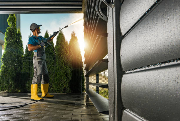 Best Gutter Cleaning  in Geneseo, IL