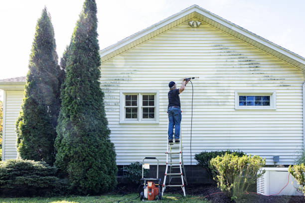 Best Roof Washing  in Geneseo, IL